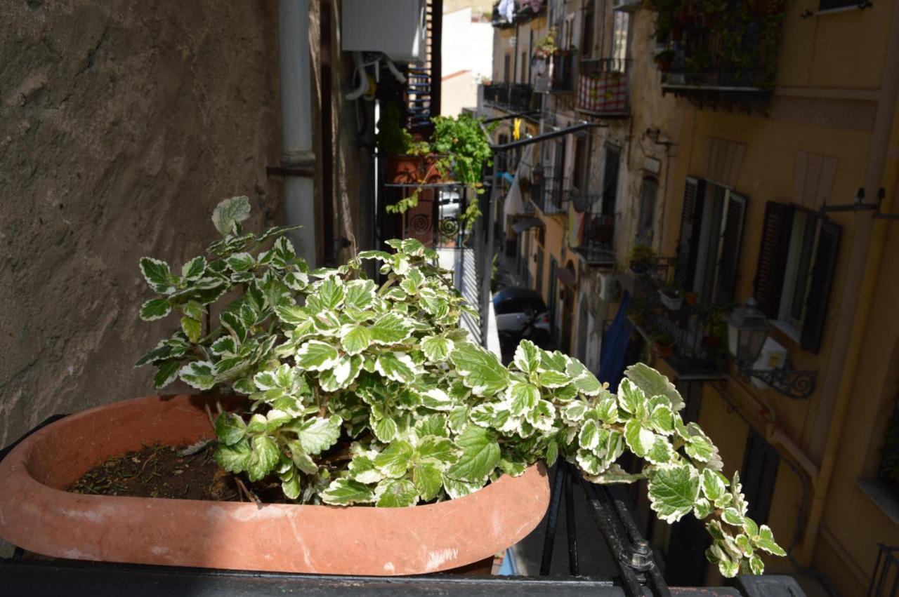 Futtitinni Home Casamia Palermo Ngoại thất bức ảnh